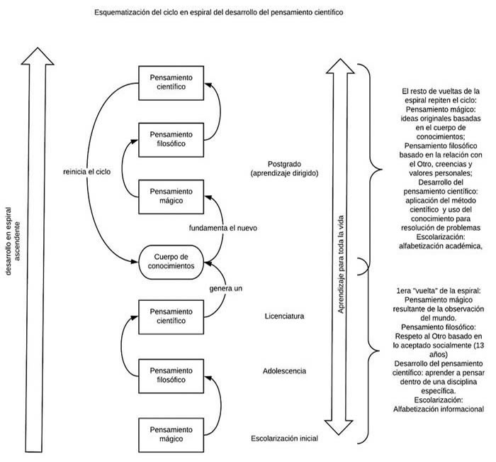 Figura 1